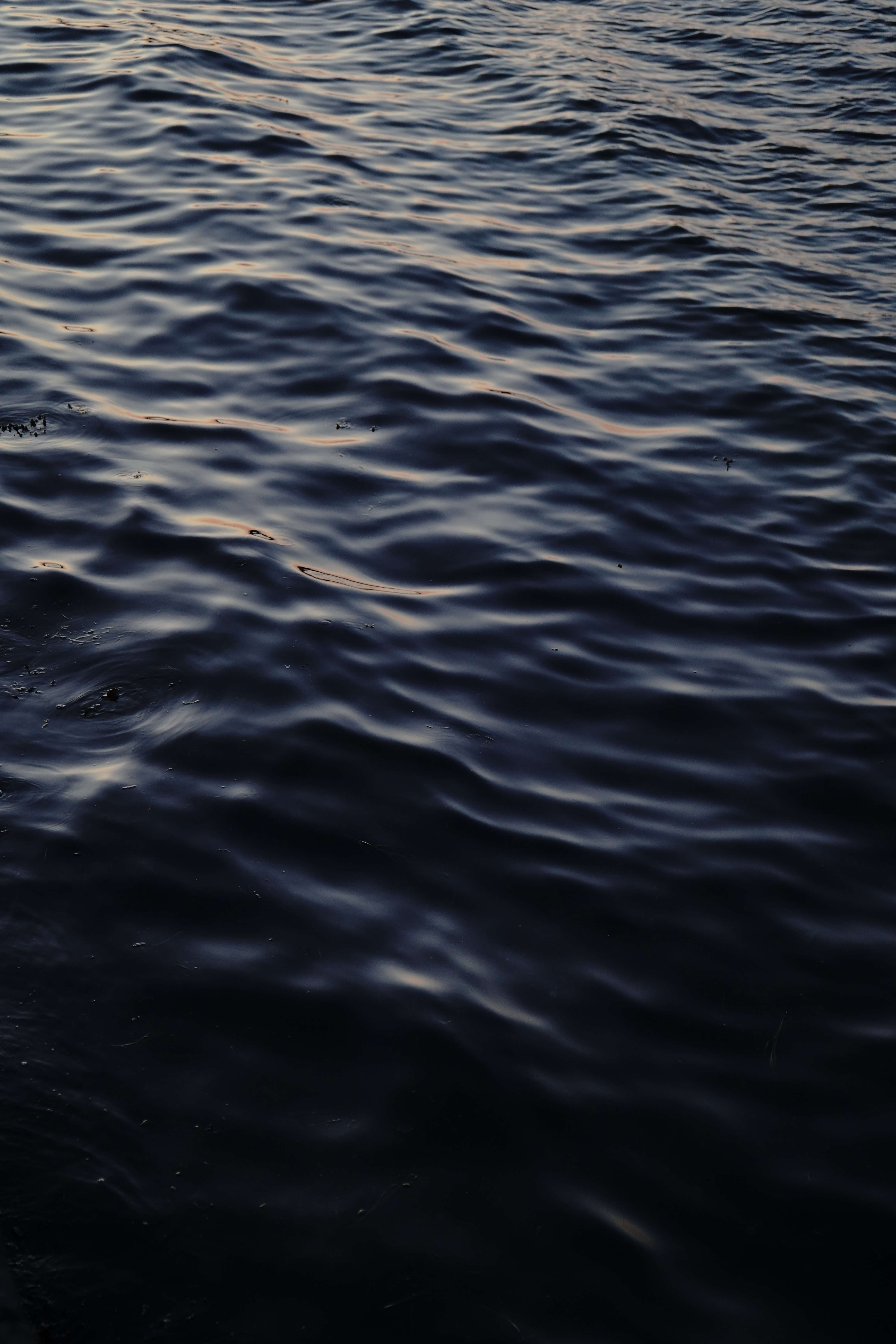 Dark Water
