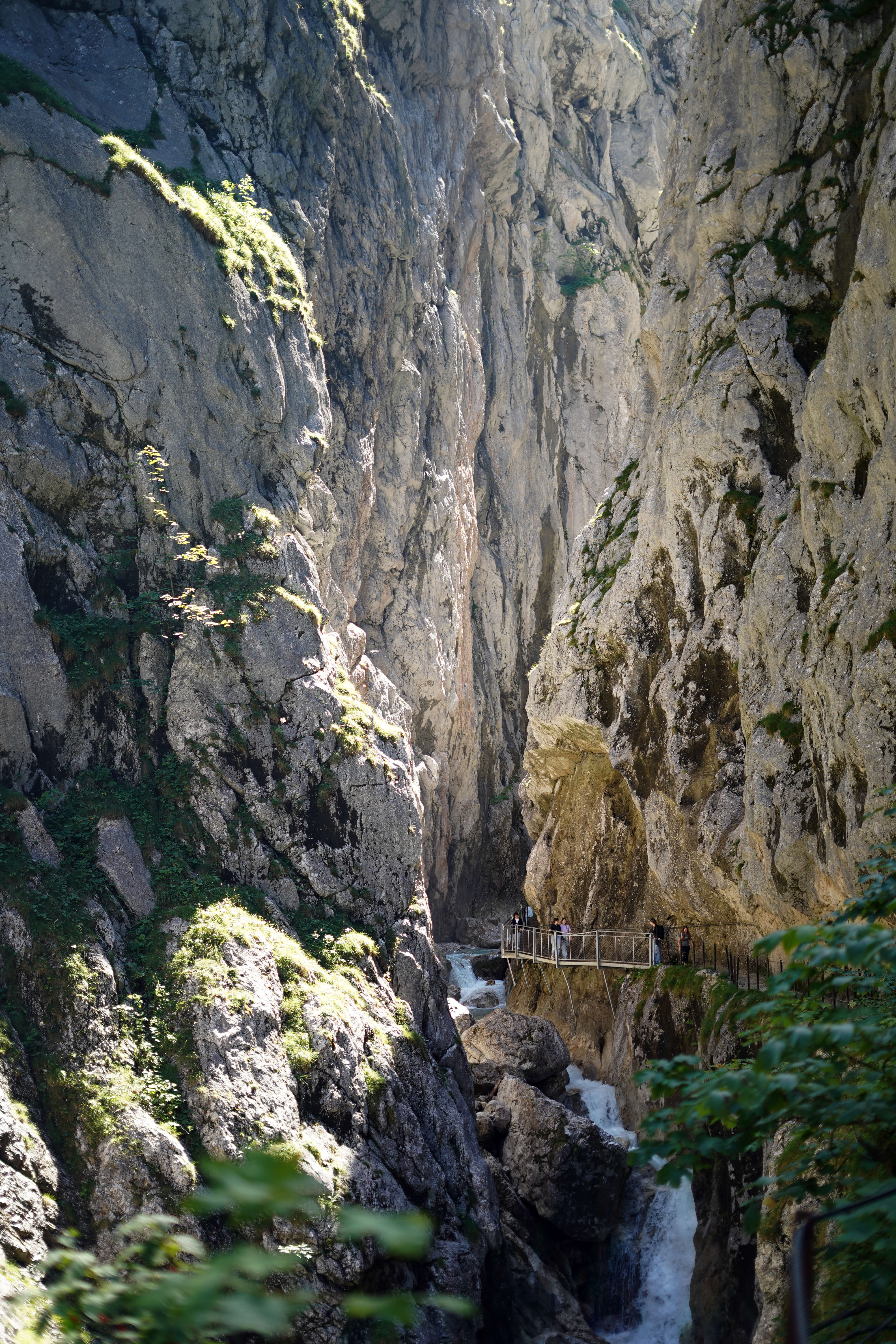 Gorge Walk