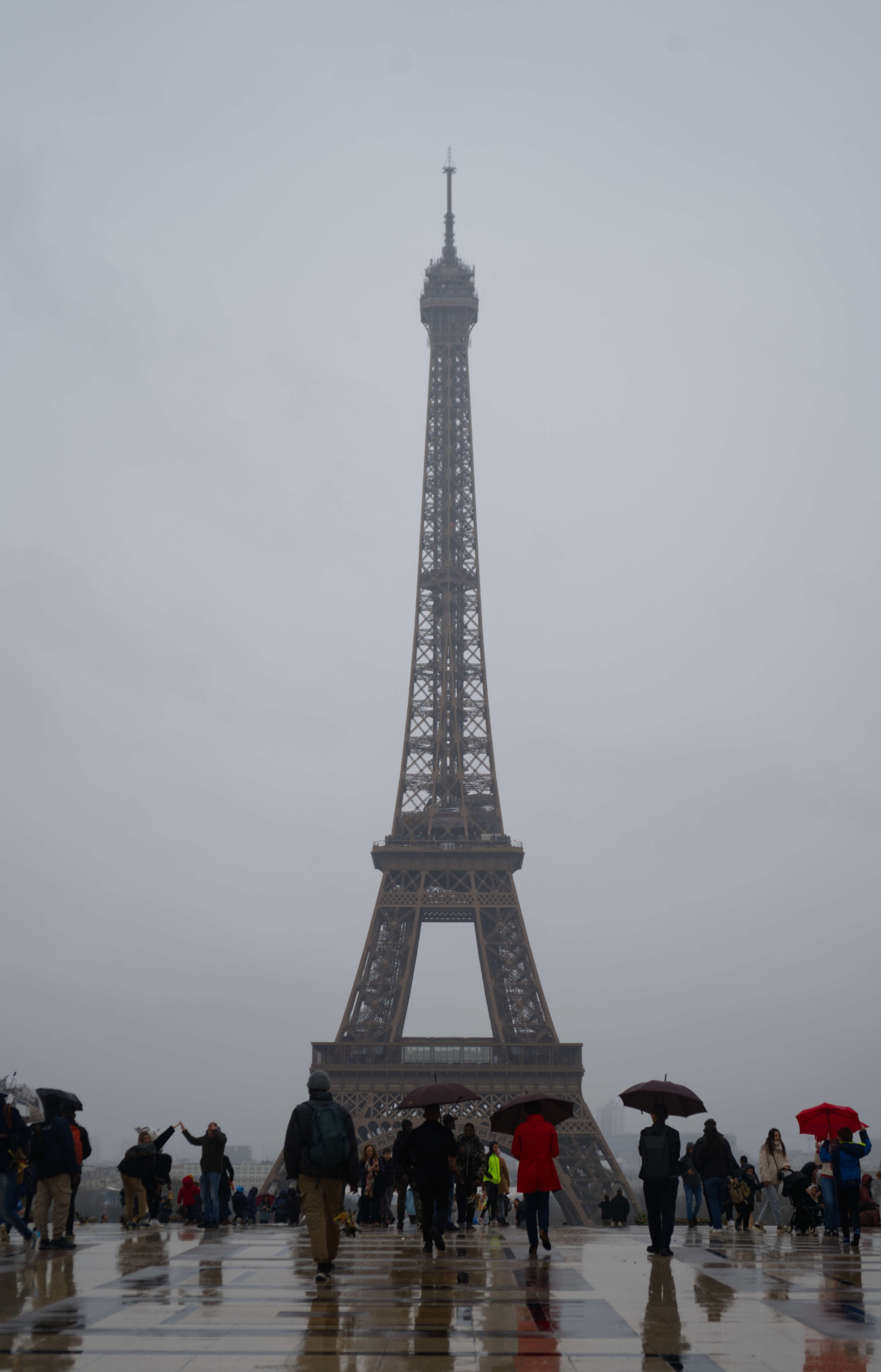 Paris in the Rain