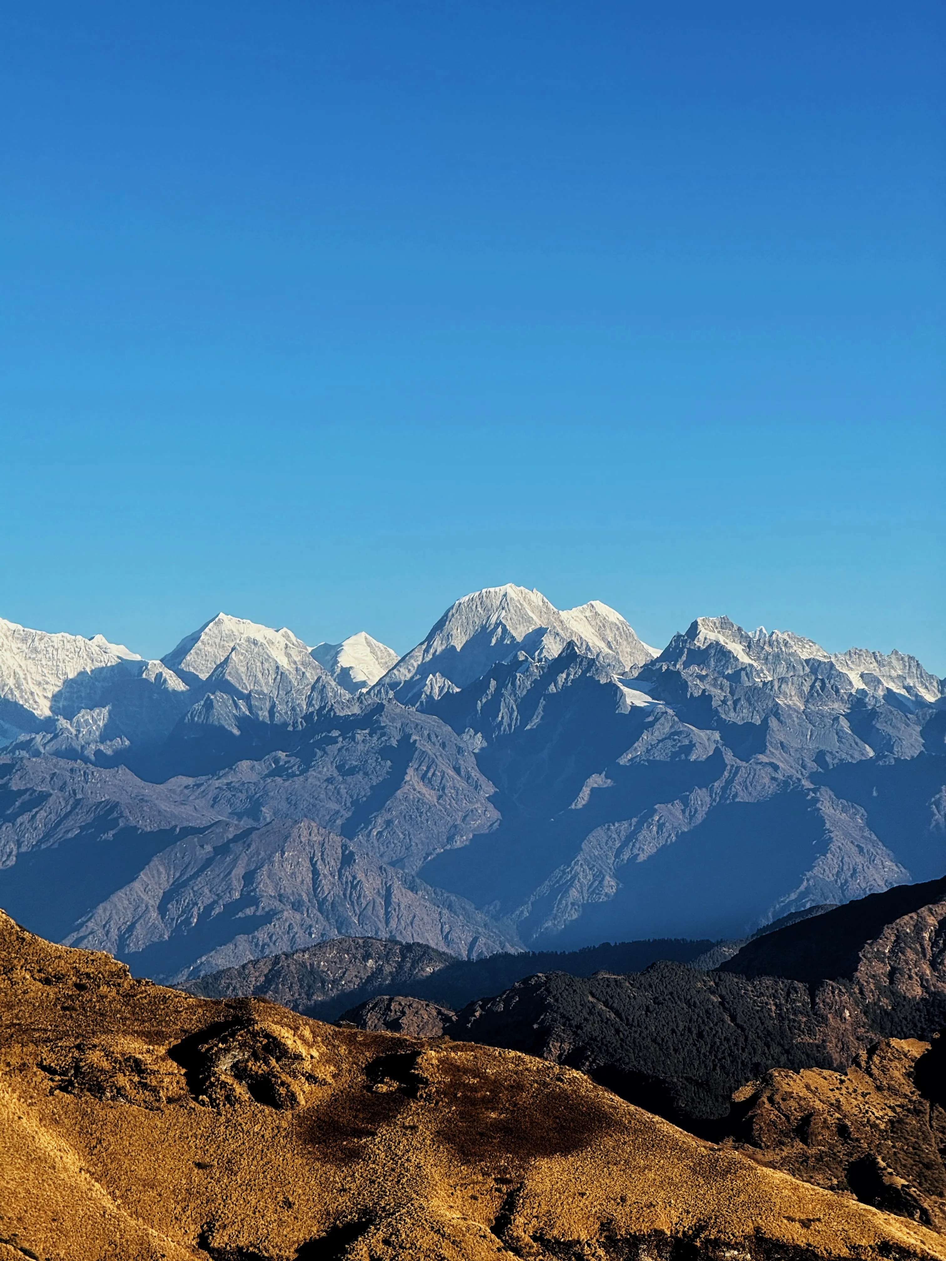Himalayan Majesty