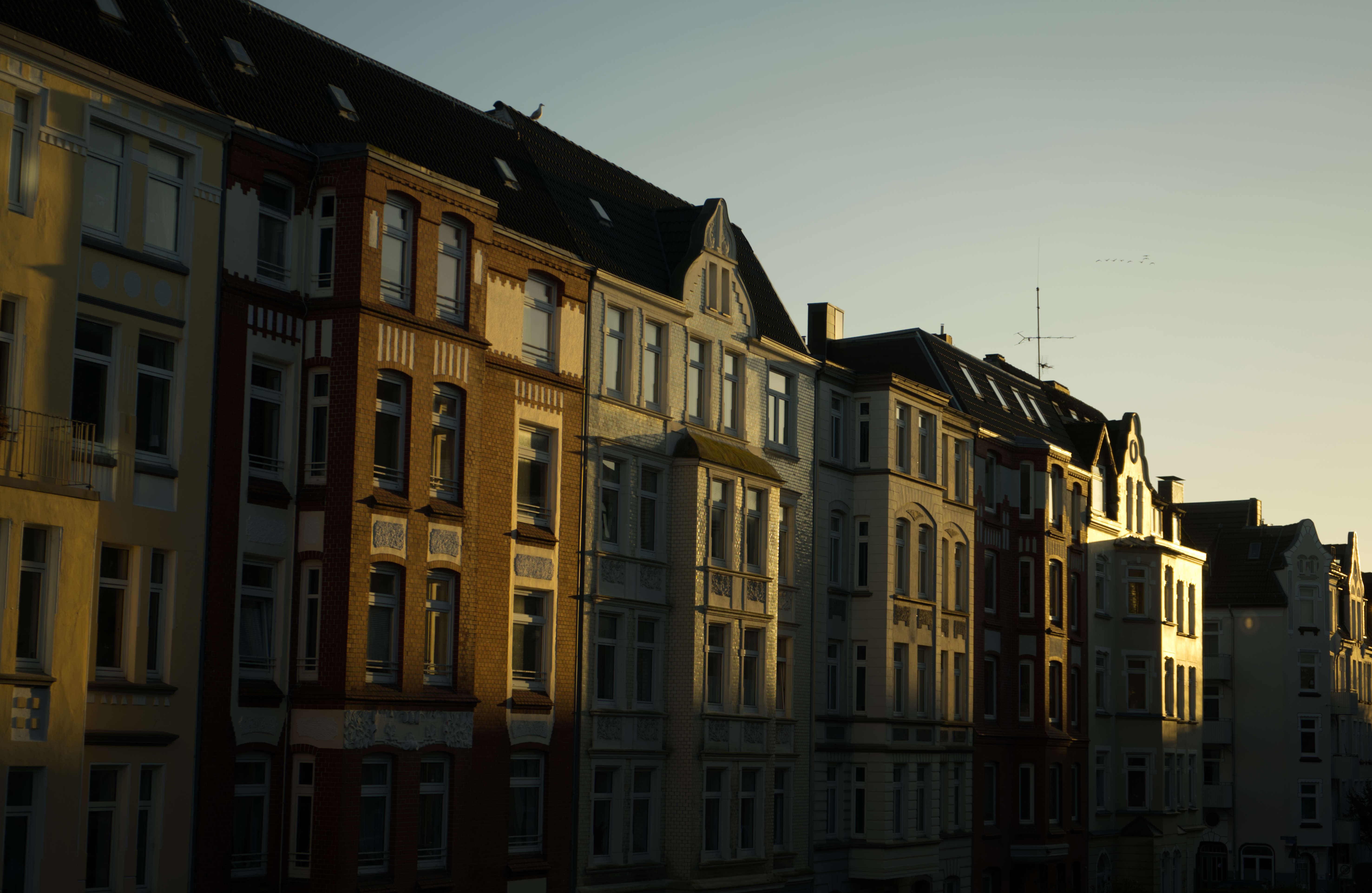 Golden Row